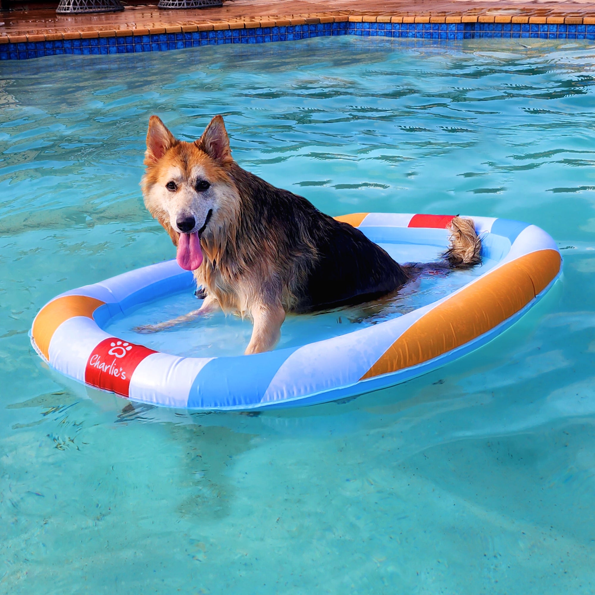 Puppy Best Paddling Pool For Dogs Inflatable Pool Dog Pool Argos
