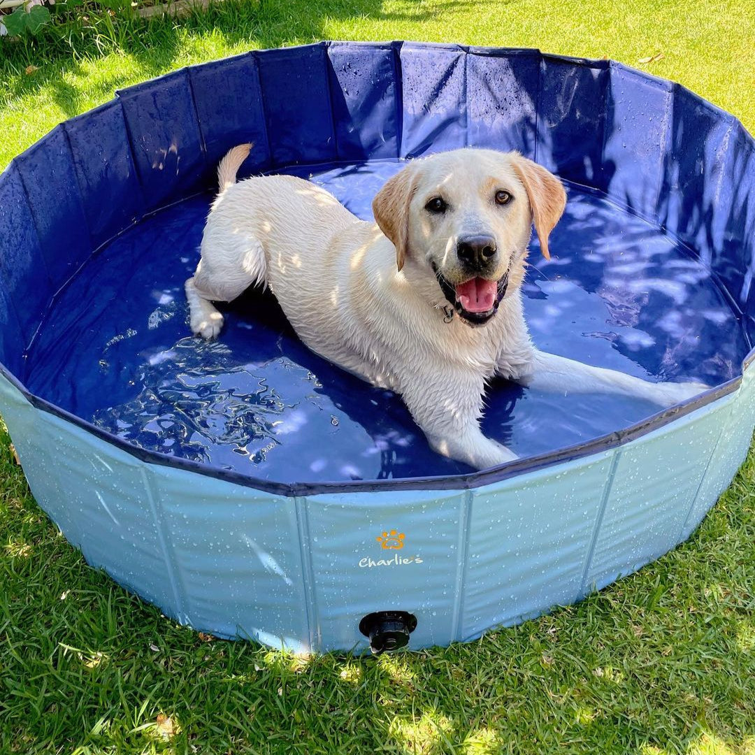 Portable Pet Pool Australia – Charlie's Pet - Main Image