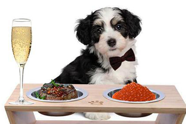 An elevated dining experience