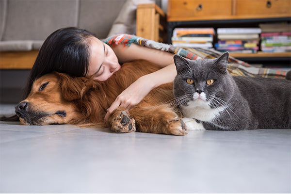 Getting a pet during lockdown? Read this first! – Charlie's Pet