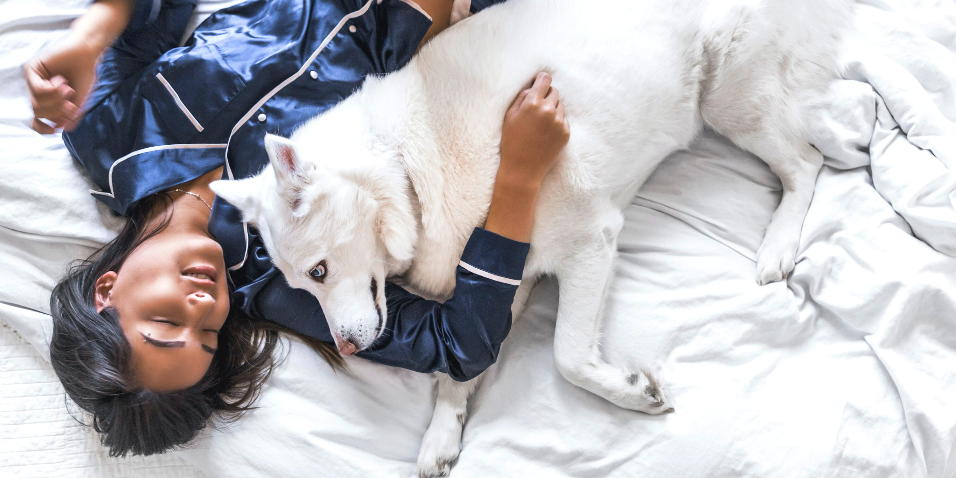 Tips to help your dog sleep better