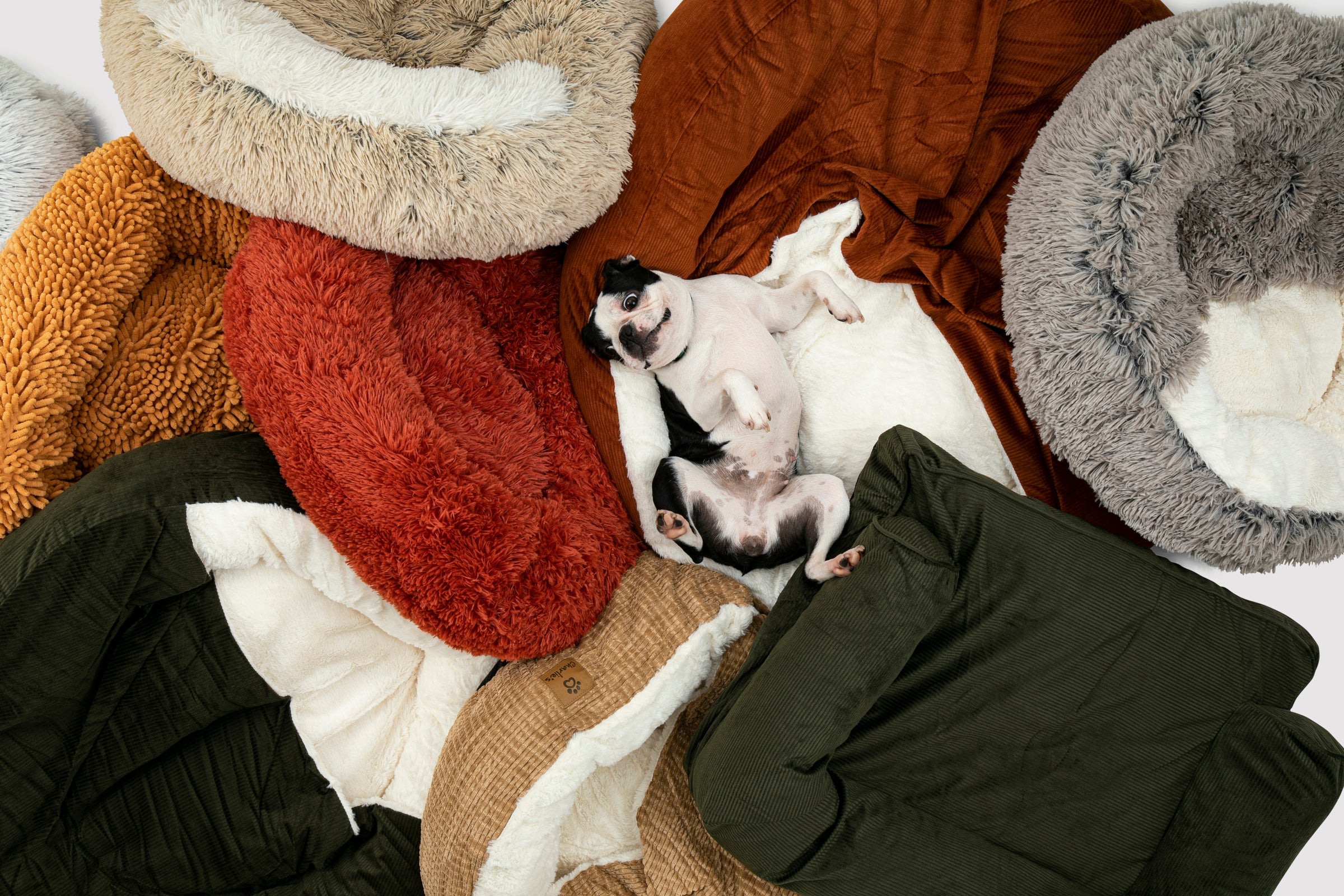 Black friday deals dog beds and cat cuddlers for sale