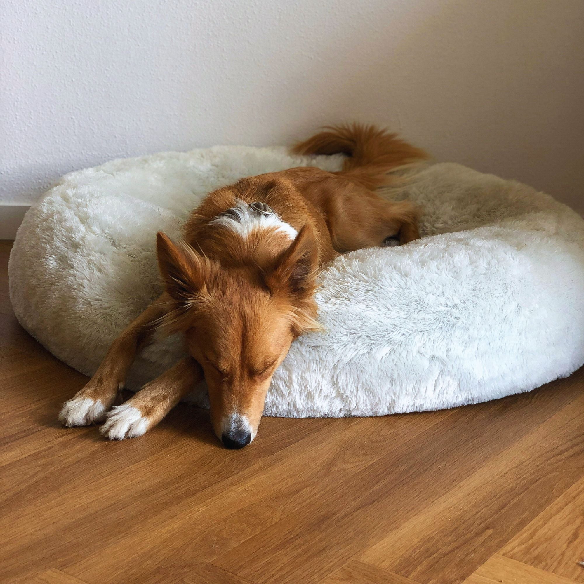 Charlie's calming dog bed in fluffy faux fur thats great for australian dogs