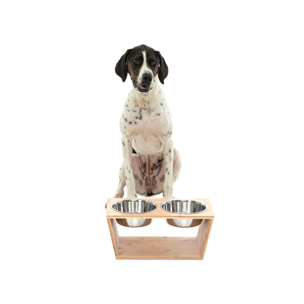 Raised Bamboo Feeder with Dual Steel Bowls Charlie's Pet Products