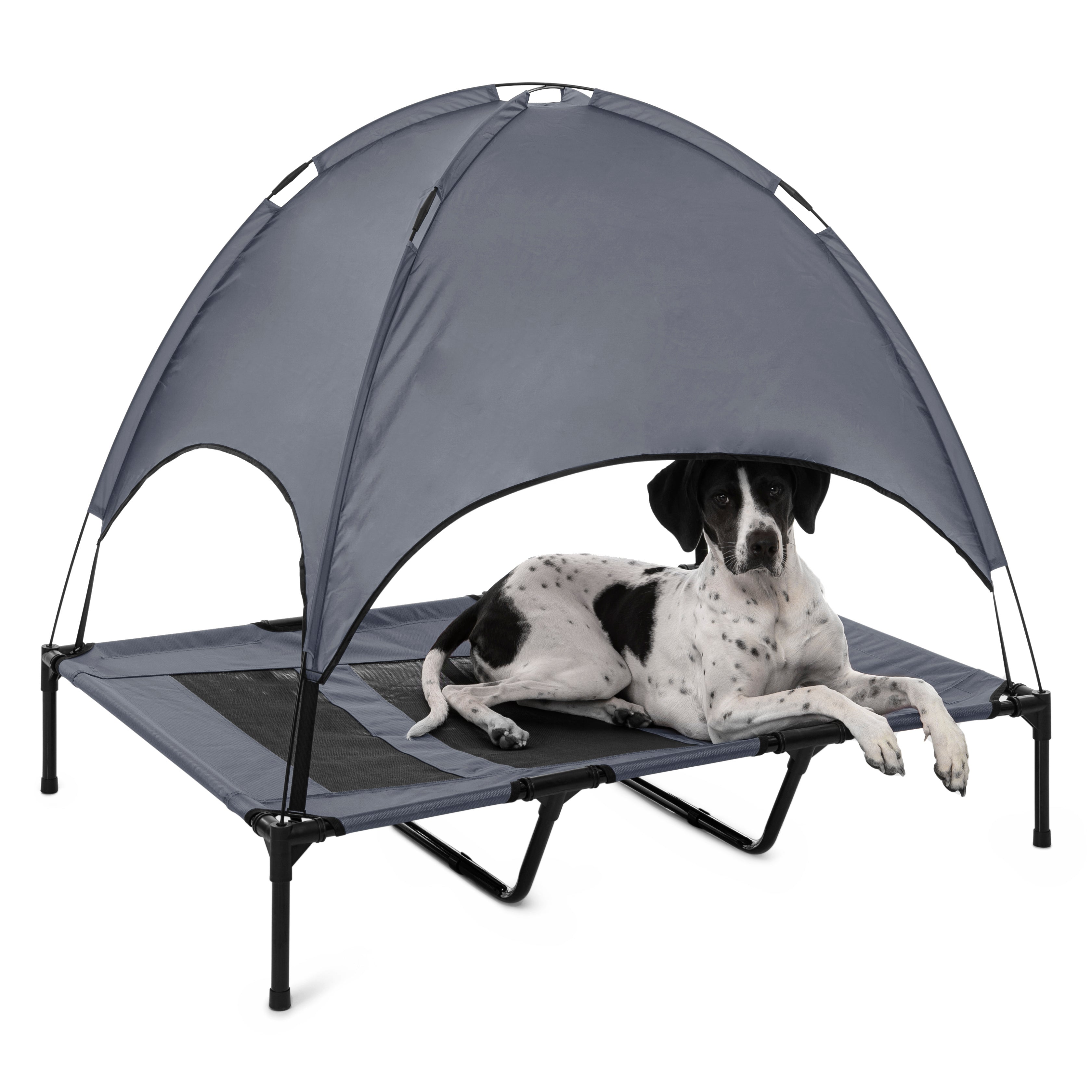 Trampoline Hammock Pet Tent Australia Charlie s Pet