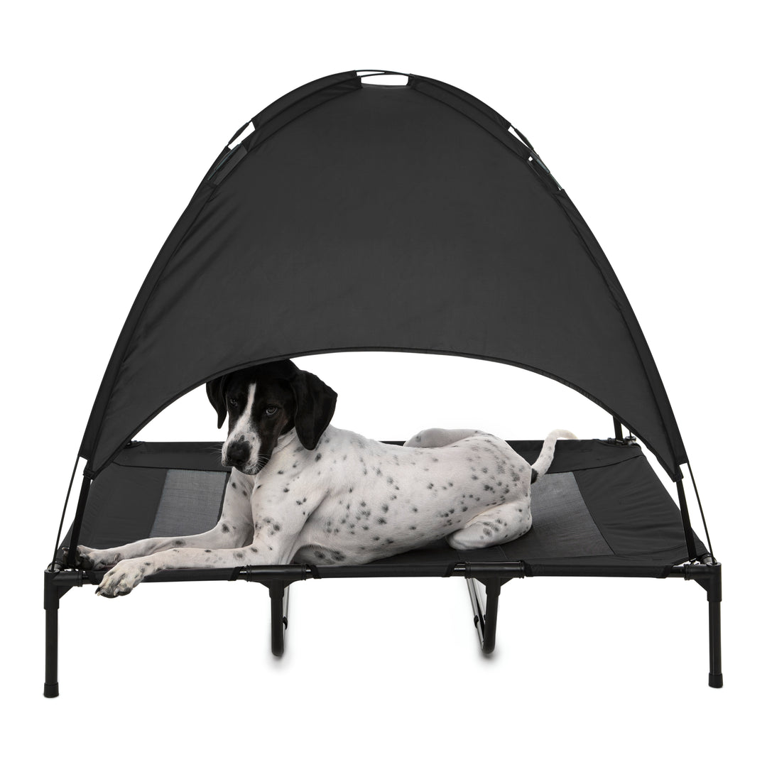 Shadey Trampoline Hammock Tent Pet Bed Charlie's Pet Products