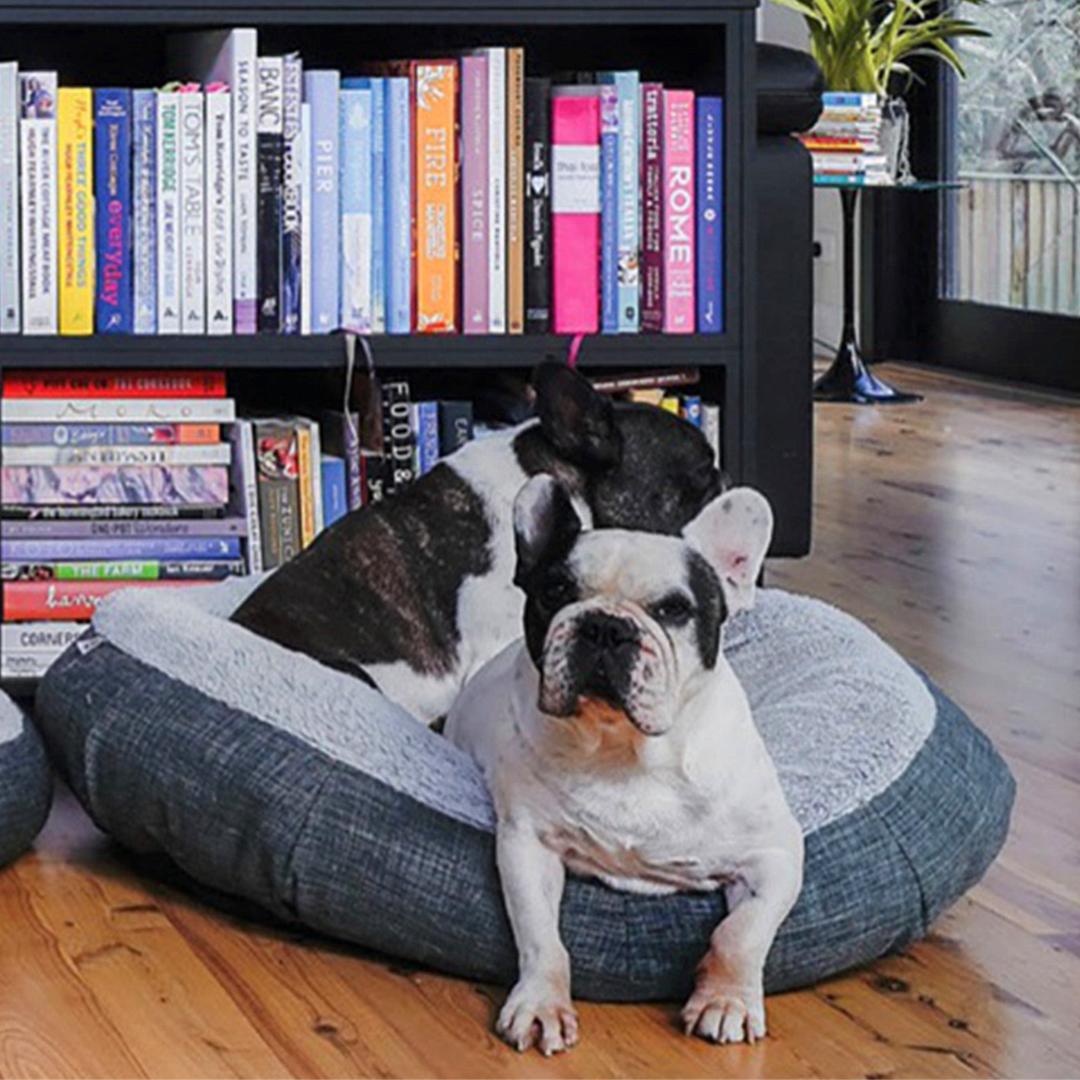 Donut Dog Bed in Aspen Chenille