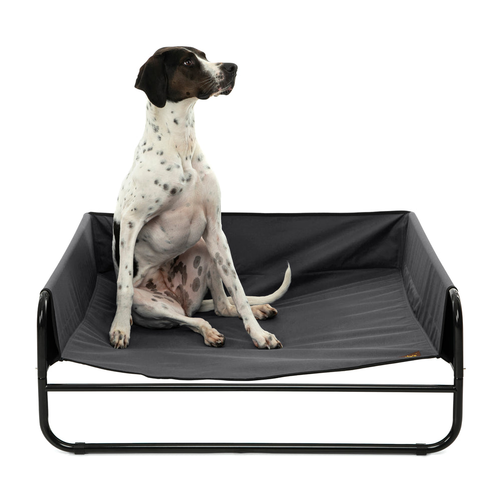 High Walled Outdoor Trampoline Pet Bed Cot - Black Charlie's Pet Products