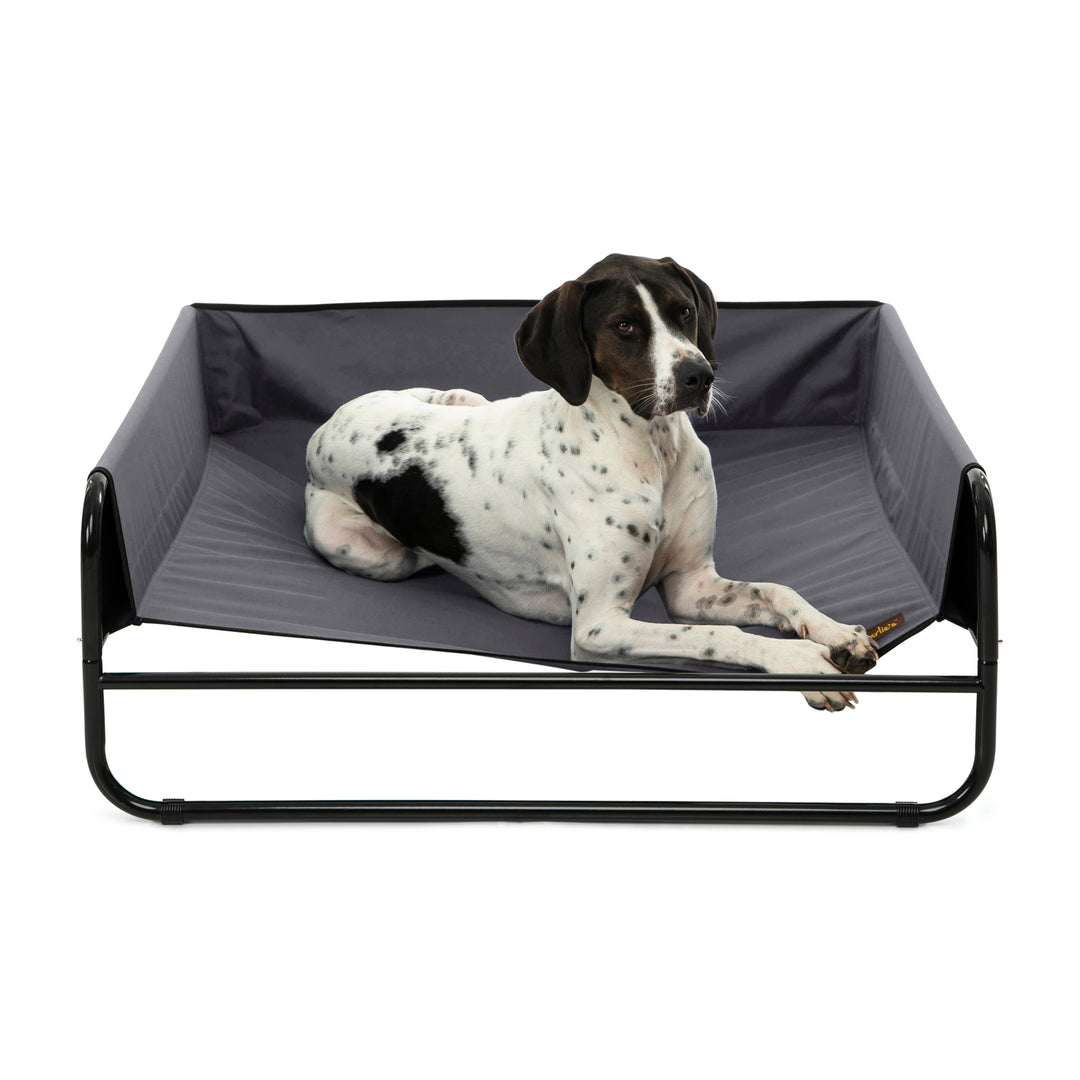 High Walled Outdoor Trampoline Pet Bed Cot - Grey Charlie's Pet Products