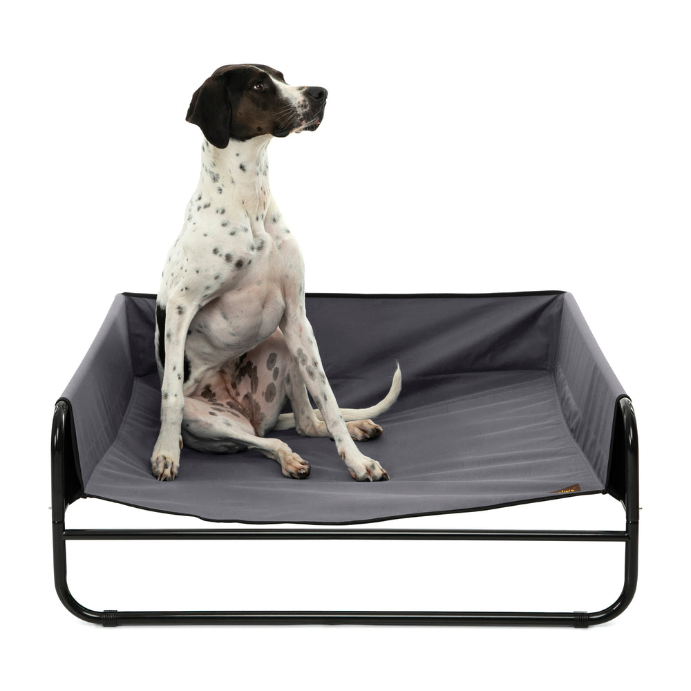 High Walled Outdoor Trampoline Pet Bed Cot - Grey Charlie's Pet Products