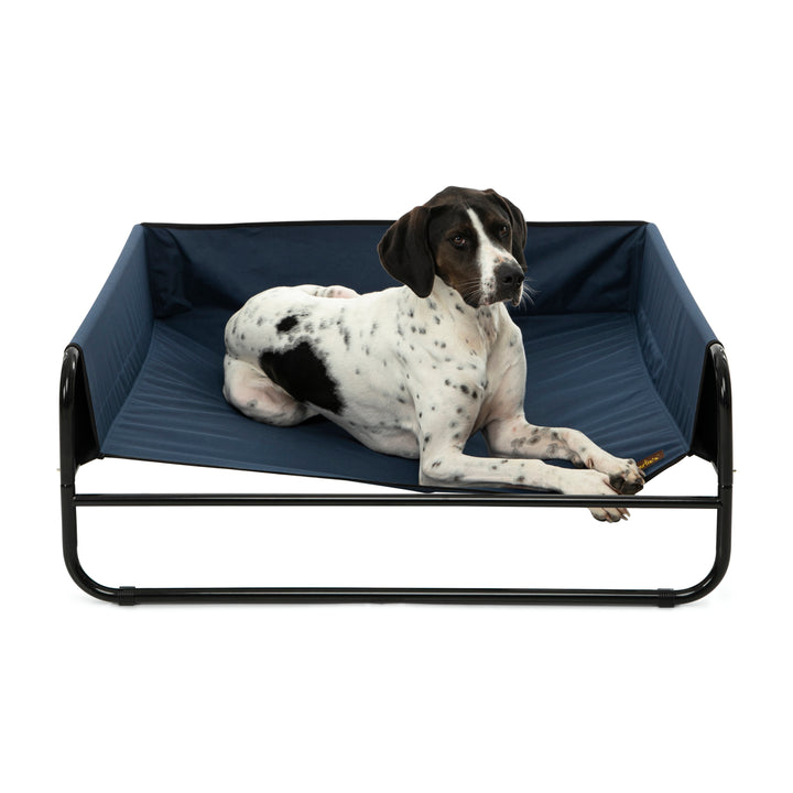 High Walled Outdoor Trampoline Pet Bed Cot - Blue Charlie's Pet Products