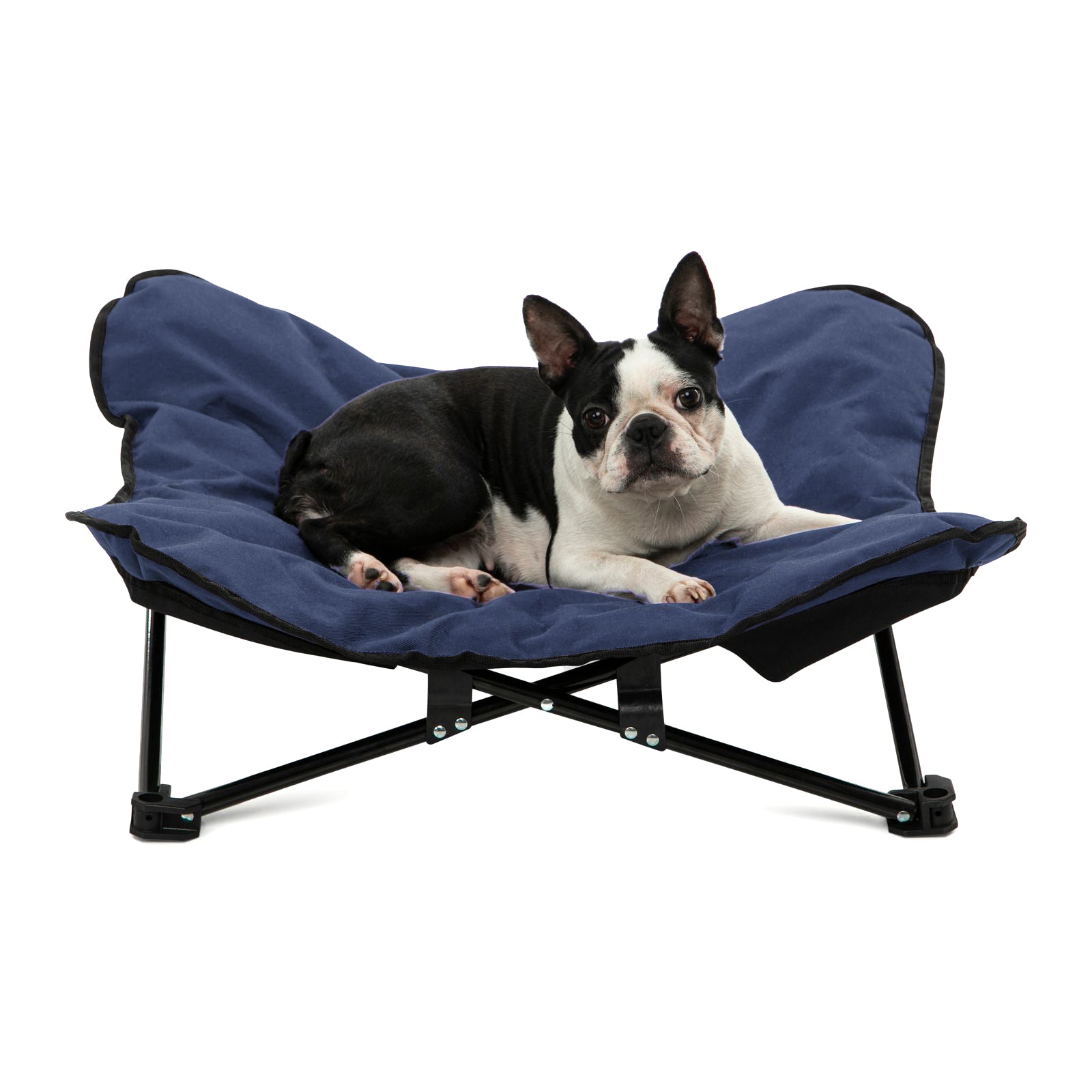 Pet chair outlet