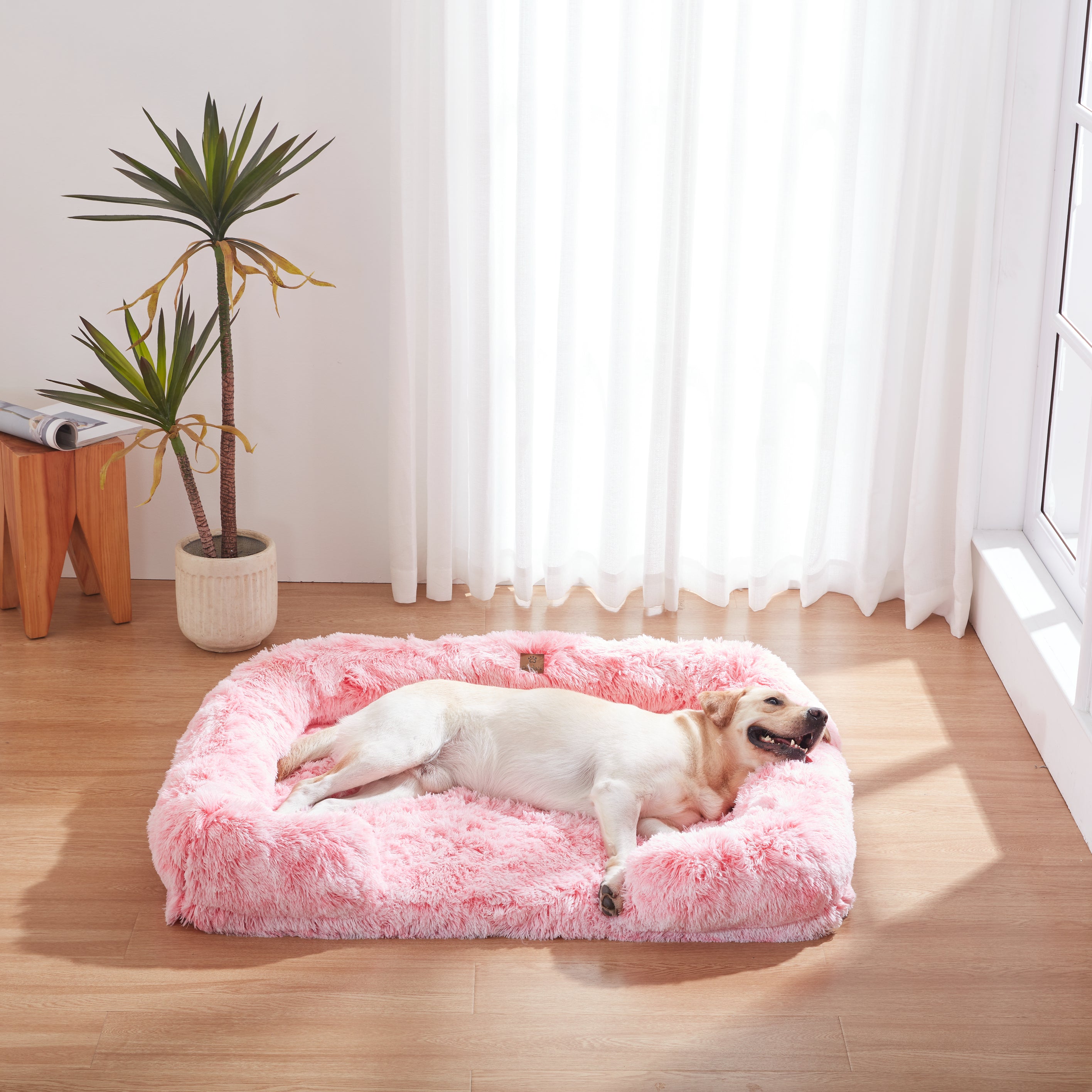 Pink dog sofa online