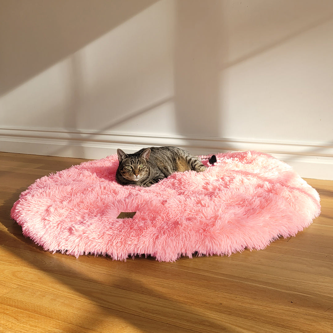 Pink Dog Beds Pink Cat Beds Bright Pink Ombre Pink Barbie Dog Charlie s Pet