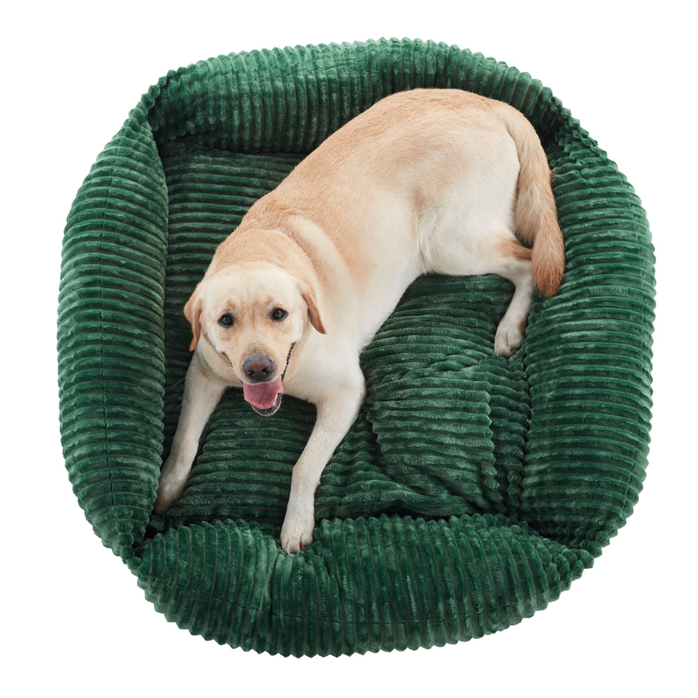 Shaggy Pet Pad Australia Charlie s Pet