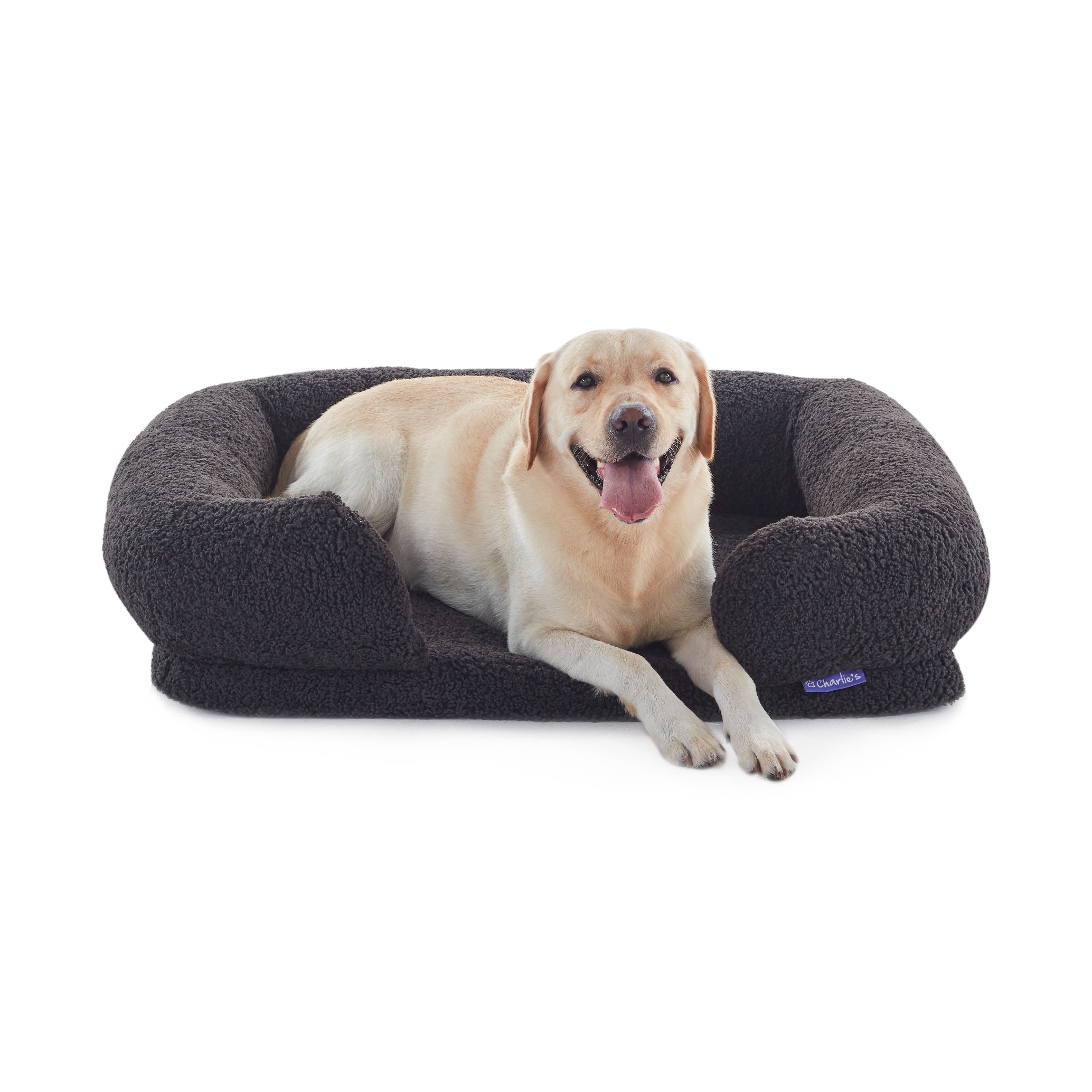 Crisscross orthopedic foam clearance pet bed