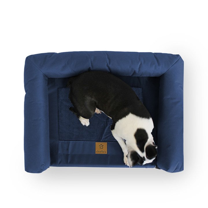 Trampoline Bolster Sofa Pet Bed Blue Charlie's Pet Products