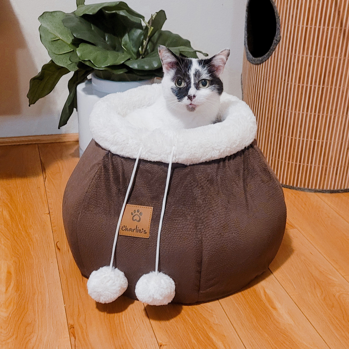 Honeypot Cat Cave Snuggler Charlie's Pet Products