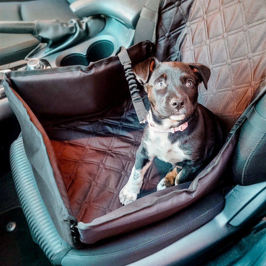 Seat Cover Front Seat Dog Bed Dog Bed Car Footwell Protectors For