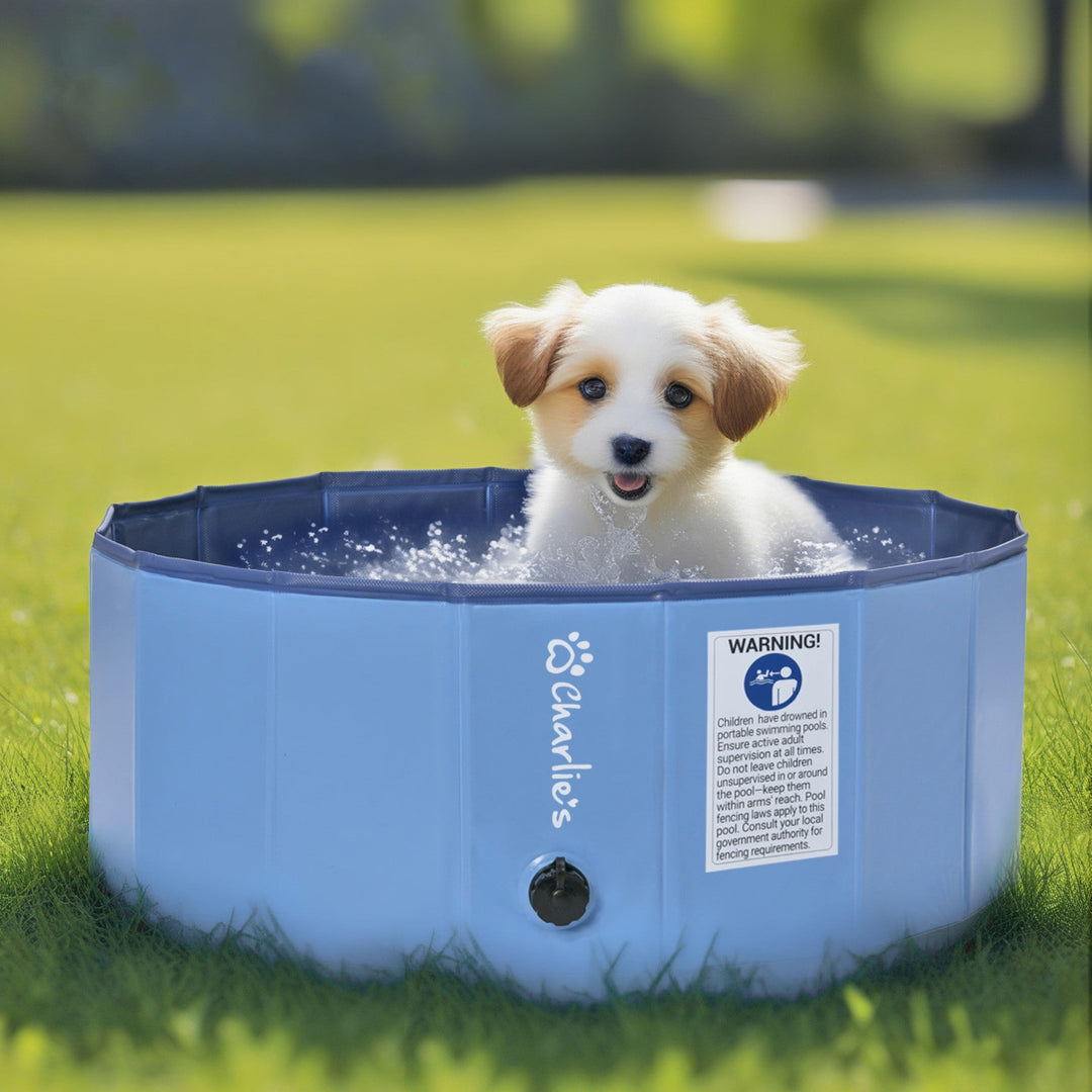 Splash Society Portable Foldable Dog Pool Charlie's Pet Products