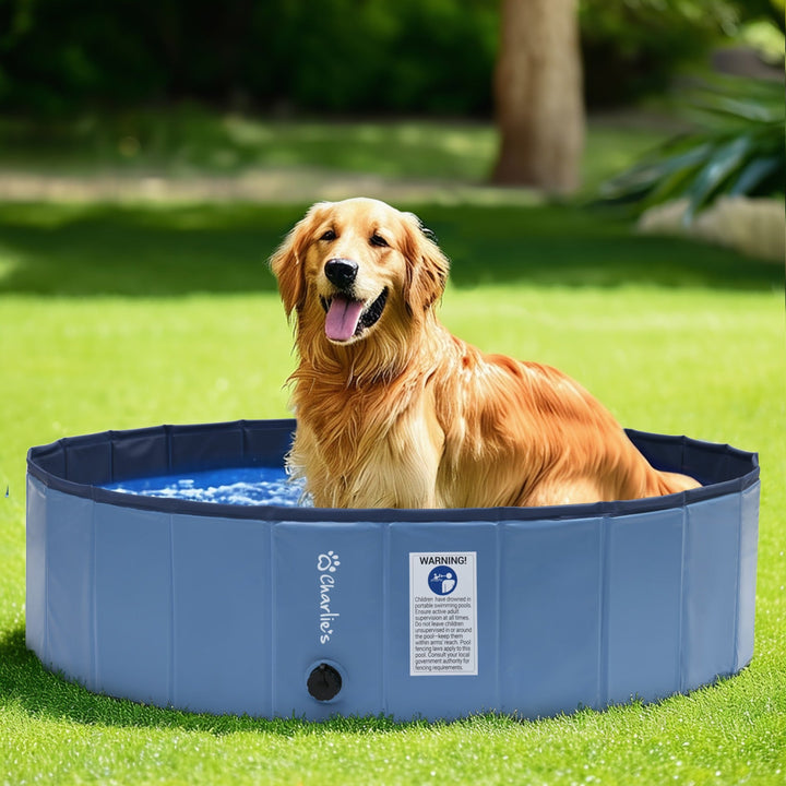 Splash Society Portable Foldable Dog Pool Charlie's Pet Products