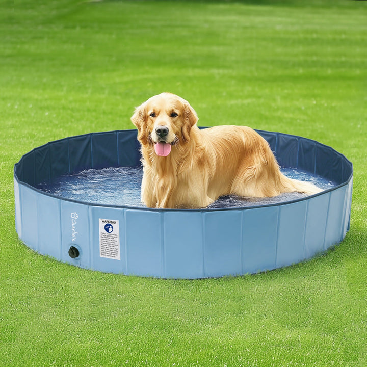 Splash Society Portable Foldable Dog Pool Charlie's Pet Products
