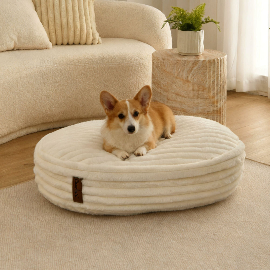 Cloud Crushed Foam Dog Bed Cream Charlie's Pet Products