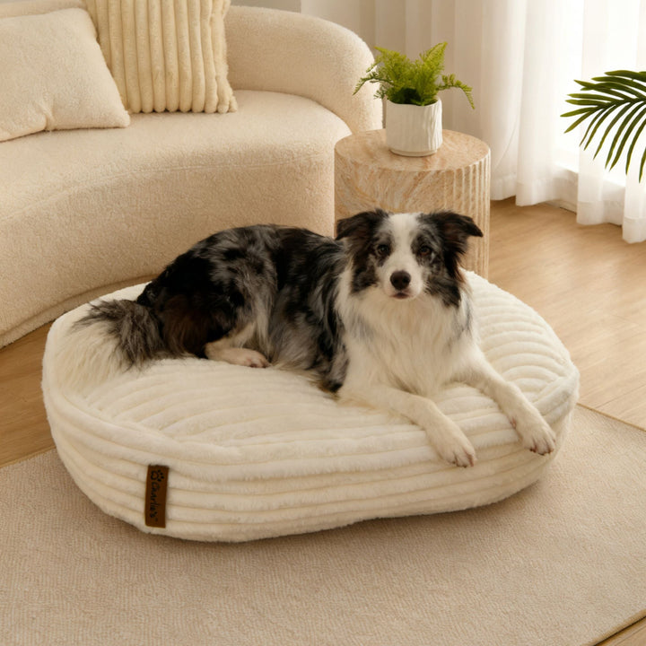Cloud Crushed Foam Dog Bed Cream Charlie's Pet Products