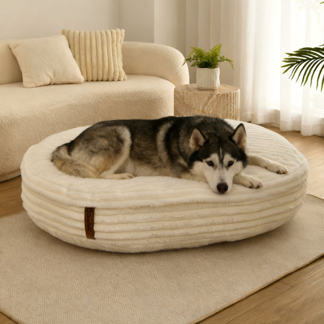 Cloud Crushed Foam Dog Bed Cream Charlie's Pet Products