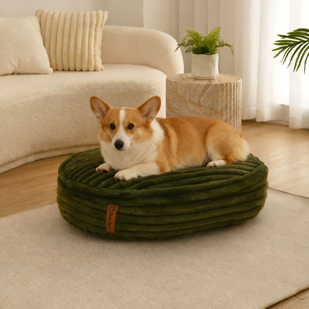 Cloud Crushed Foam Dog Bed Olive Charlie's Pet Products