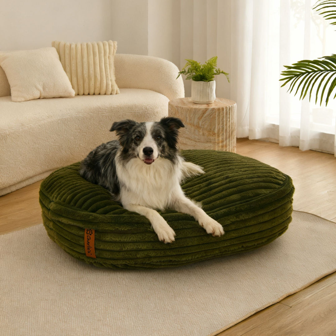Cloud Crushed Foam Dog Bed Olive Charlie's Pet Products