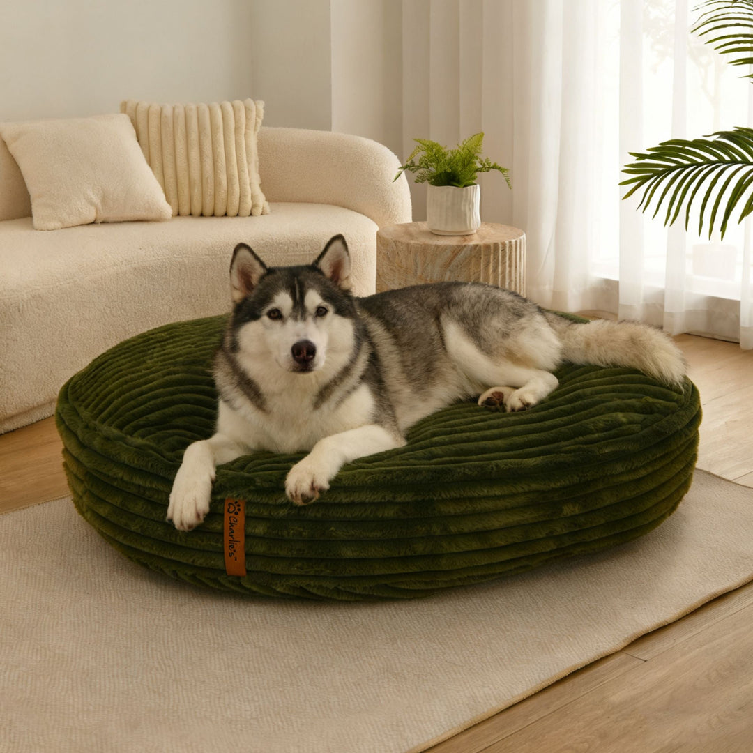 Cloud Crushed Foam Dog Bed Olive Charlie's Pet Products
