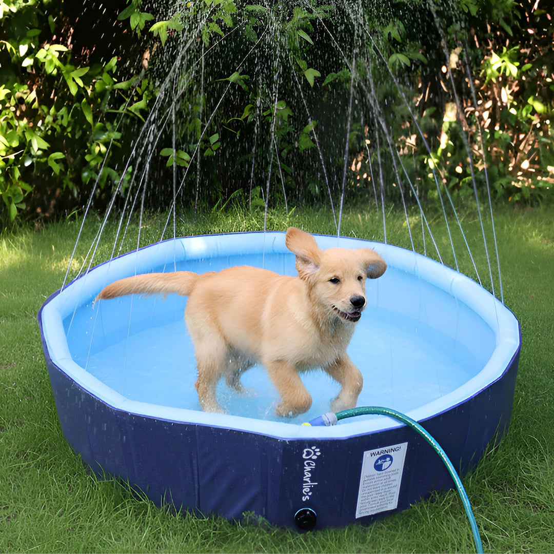 Splash Society Sprinkler Dog Pool Charlie's Pet Products