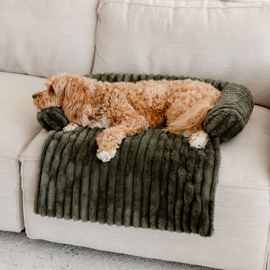 Cloud Bolster Sofa Protector Dog Bed Olive Charlie's Pet Products