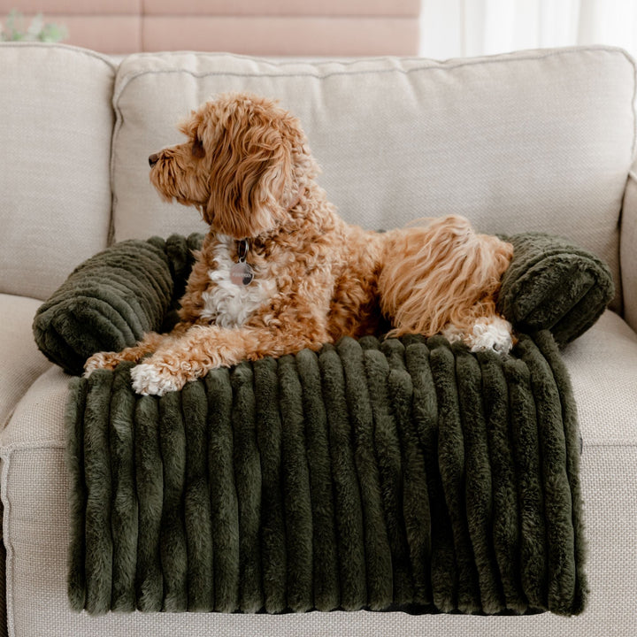Cloud Bolster Sofa Protector Dog Bed Olive Charlie's Pet Products