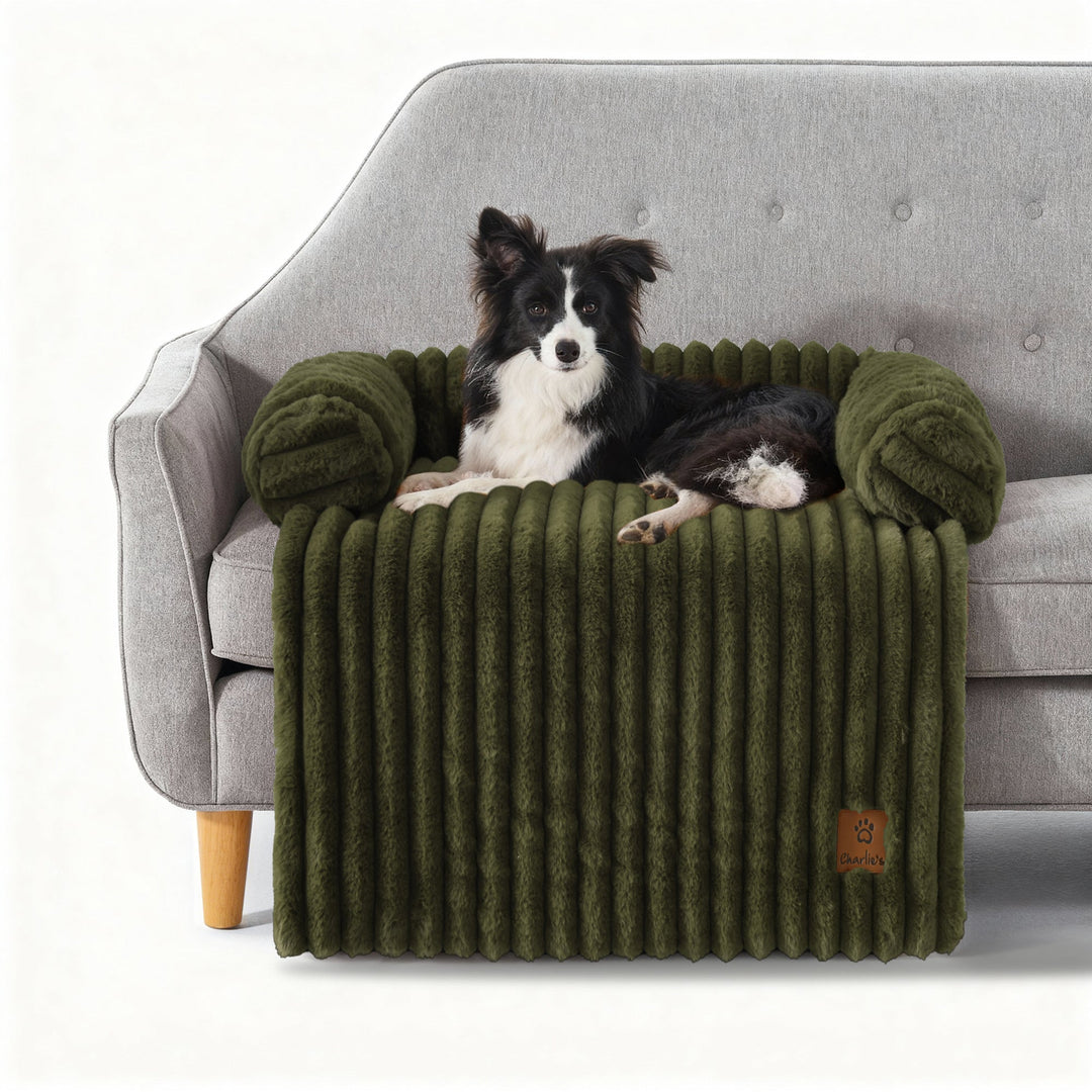 Cloud Bolster Sofa Protector Dog Bed Olive Charlie's Pet Products