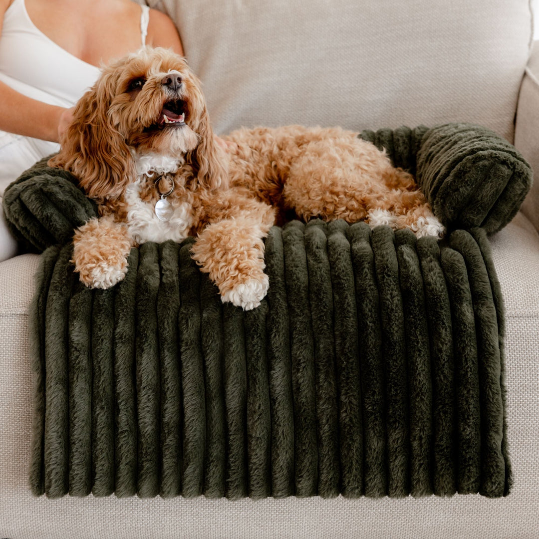 Cloud Bolster Sofa Protector Dog Bed Olive Charlie's Pet Products