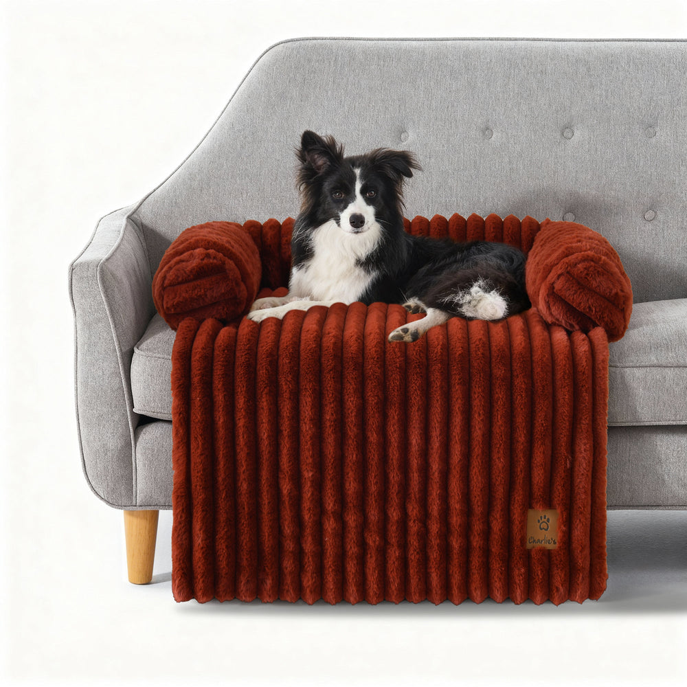Cloud Bolster Sofa Protector Dog Bed Rust Charlie's Pet Products