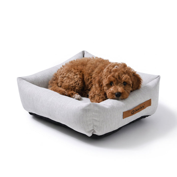 Brooksy Woven Dog Bed Natural Charlie's Pet Products