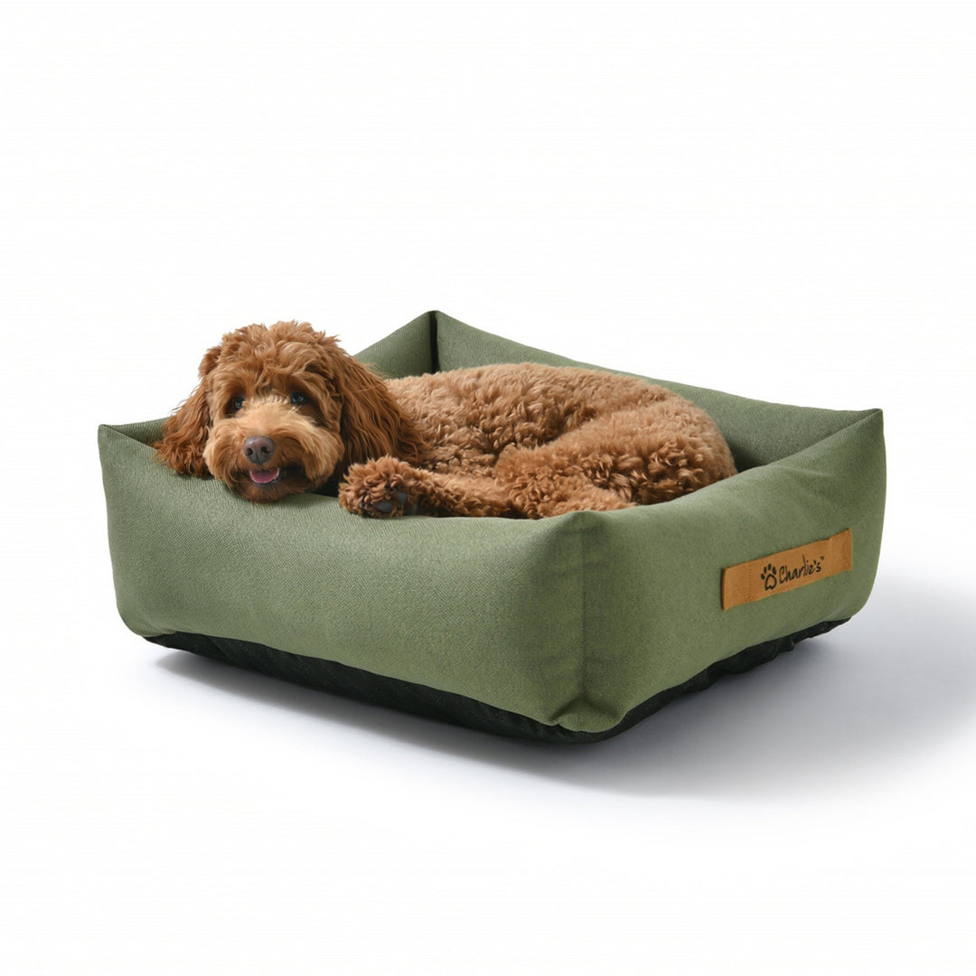 Brooksy Woven Dog Bed Olive Charlie's Pet Products