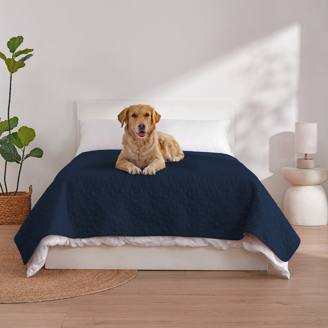 Sofur Waterproof Dog Bed Cover Protector Midnight Blue Charlie's Pet Products