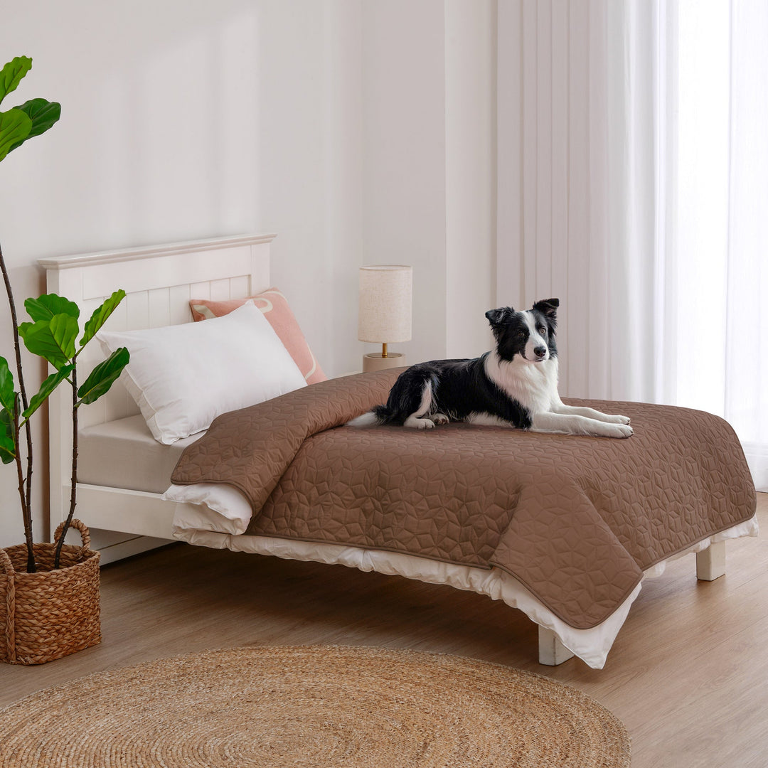 Sofur Waterproof Dog Bed Cover Protector Espresso Charlie's Pet Products