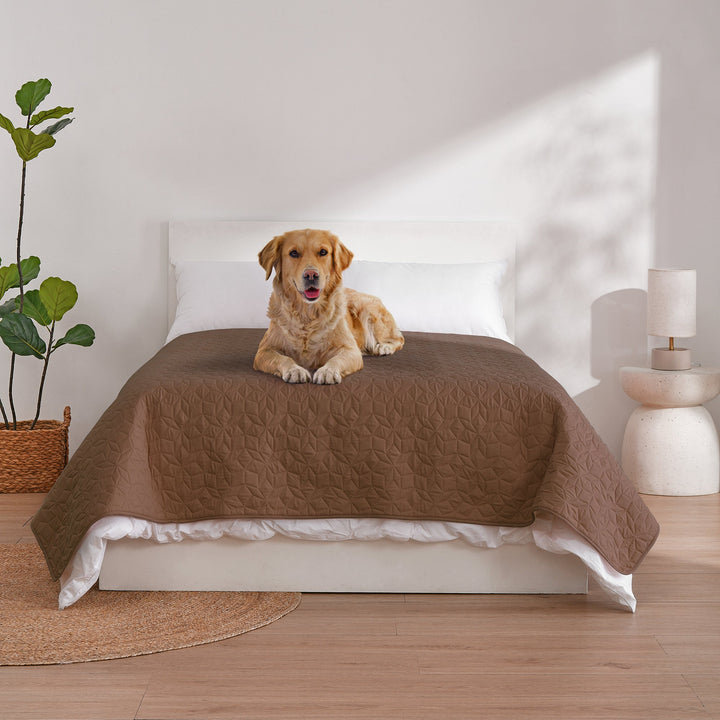 Sofur Waterproof Dog Bed Cover Protector Espresso Charlie's Pet Products