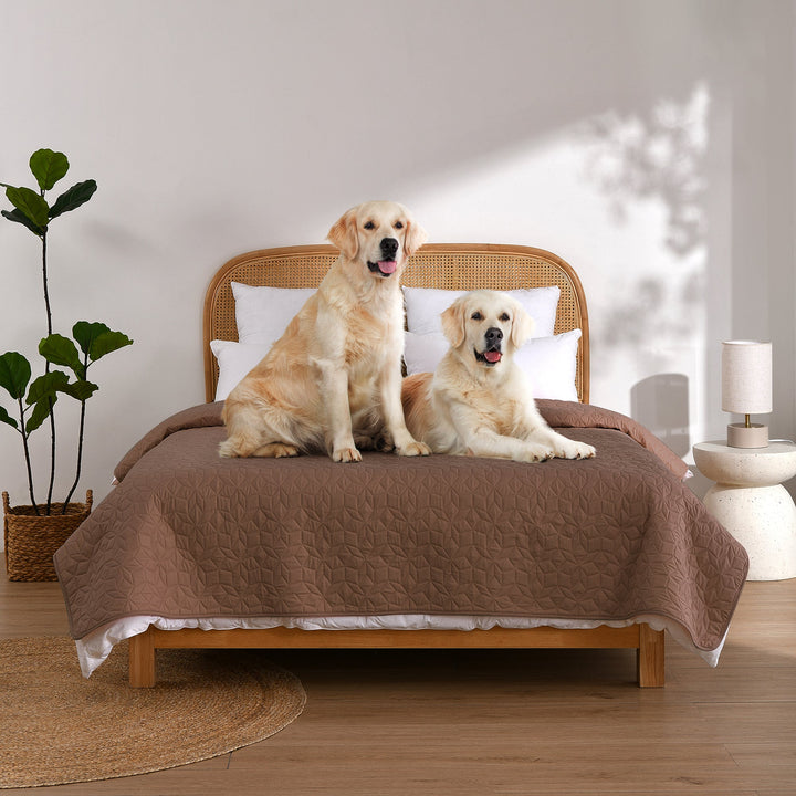 Sofur Waterproof Dog Bed Cover Protector Espresso Charlie's Pet Products