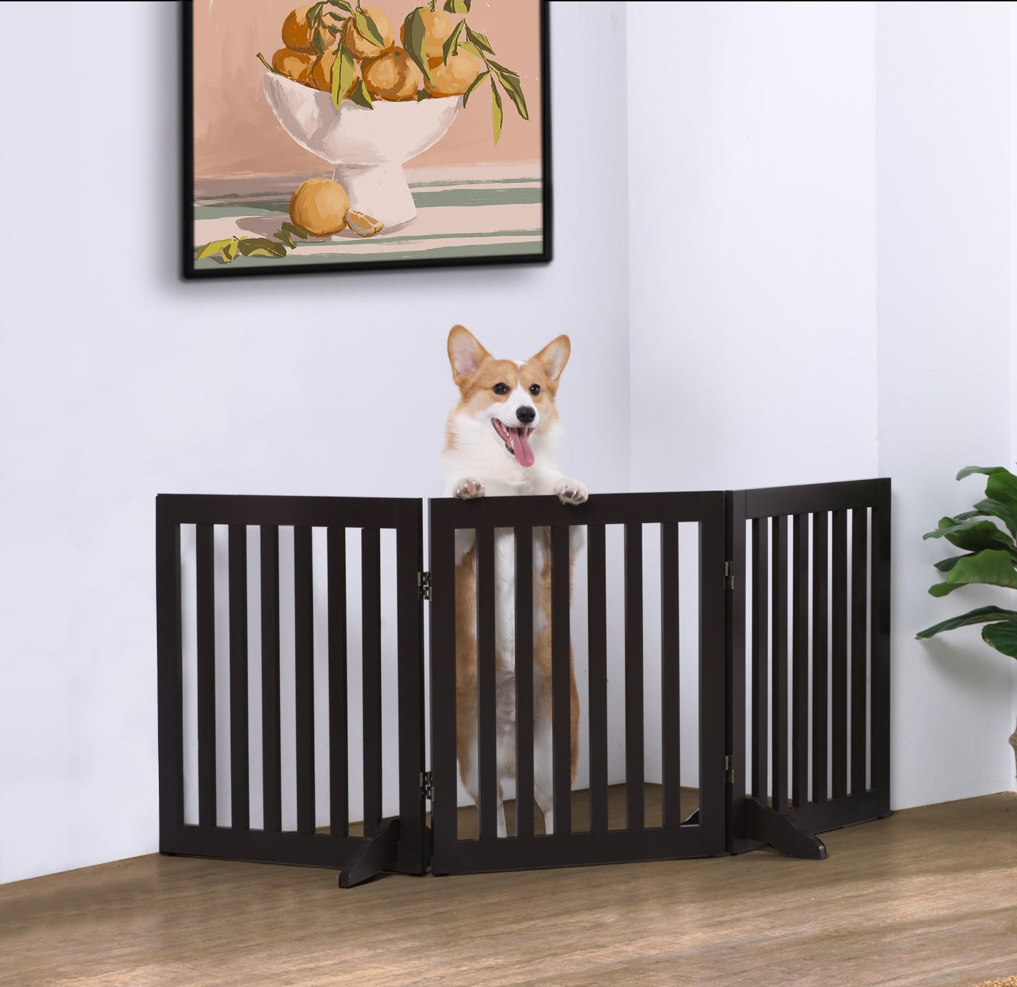 Freestanding Pet Gate Australia Charlie s Pet