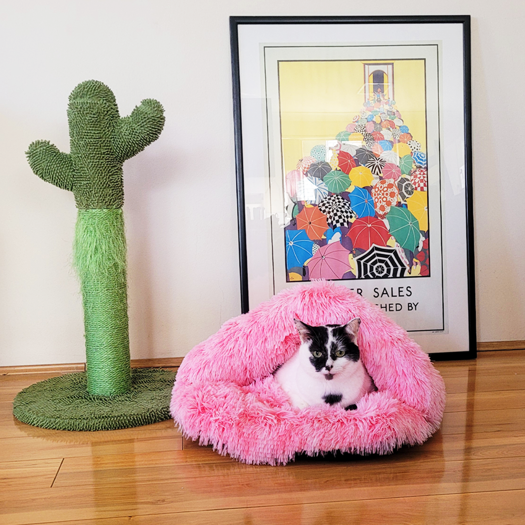 Shaggy Faux Fur Igloo Cat Cave Bed - Ombre Pink Charlie's Pet Products