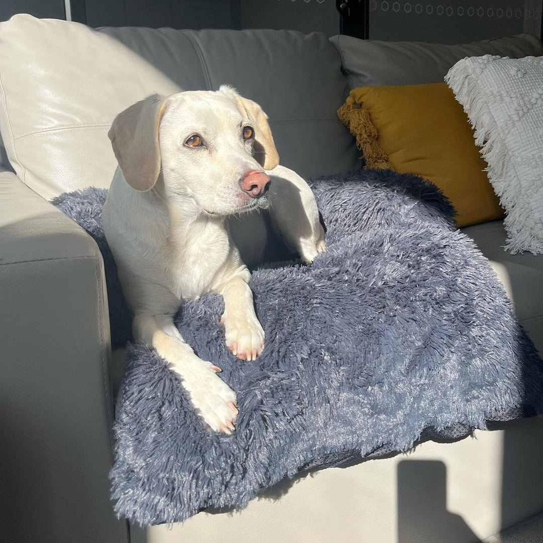 Shaggy Faux Fur Bolster Sofa Protector Pet Bed - Charcoal Charlie's Pet Products