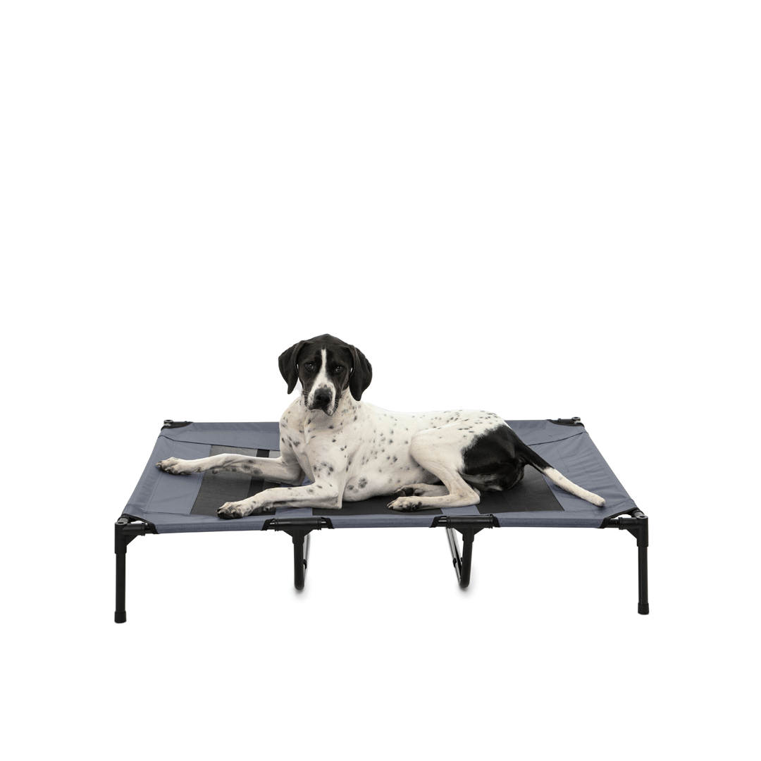 K&h cooling pet cot online