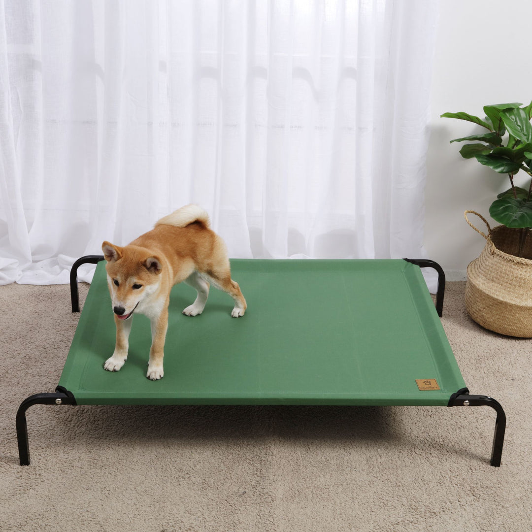 Trampoline Hammock Bed - Green Charlie's Pet Products