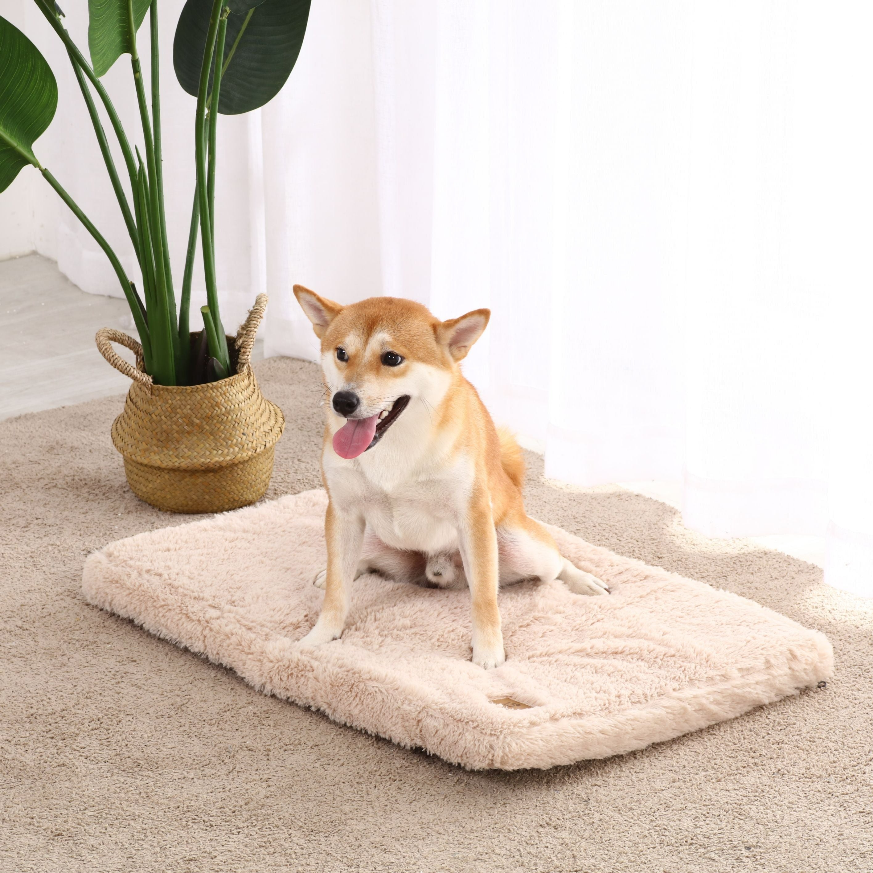 Padded dog mat shop